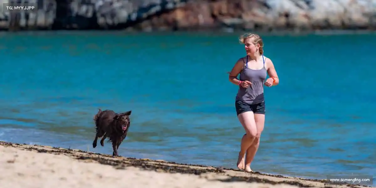 我们的核心竞争力